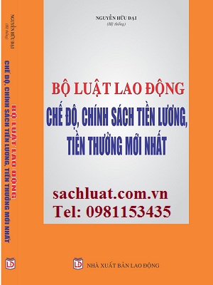 sach-bo-luat-lao-dong---che-do--chinh-sach-tien-luong--tien-thuong-moi-nhat_s1432.jpg